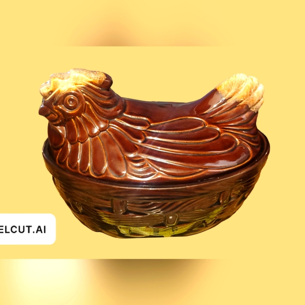 LARGE MCCOY HEN IN NEST 7110